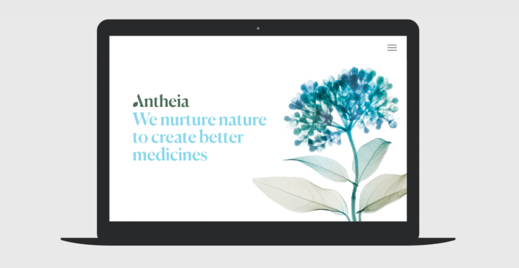 以希腊神话命名的生物技术公司，Antheia品牌设计欣赏