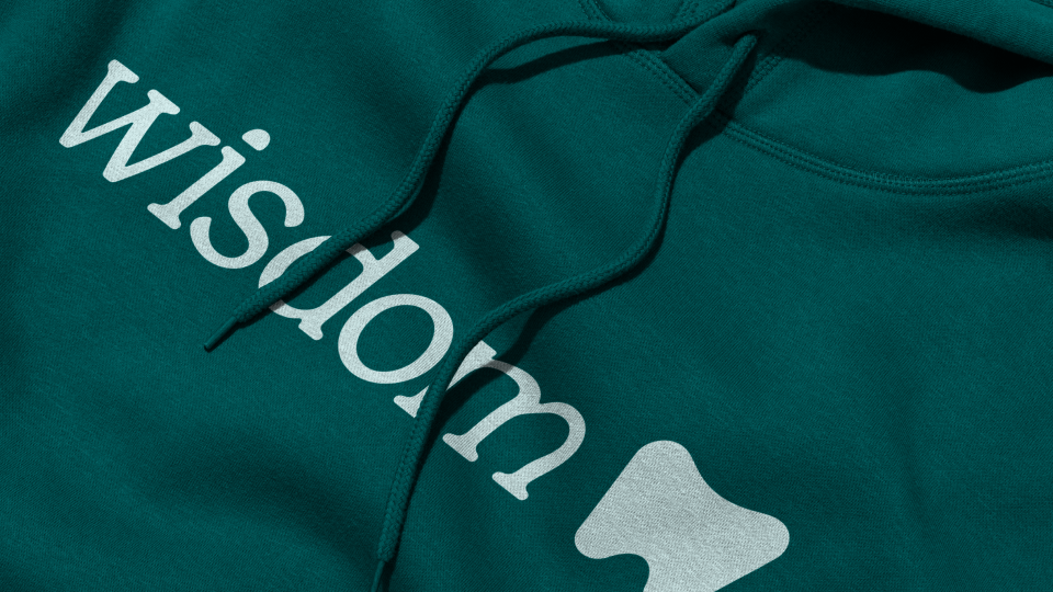 Wisdom牙科诊所VIS设计欣赏