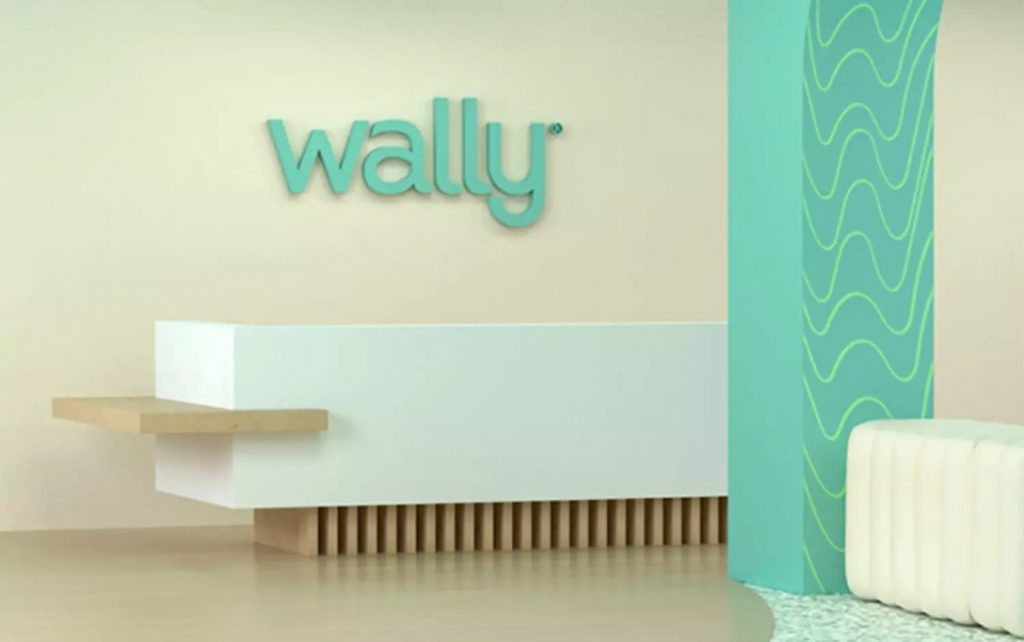 Wally口腔护理品牌VIS设计欣赏