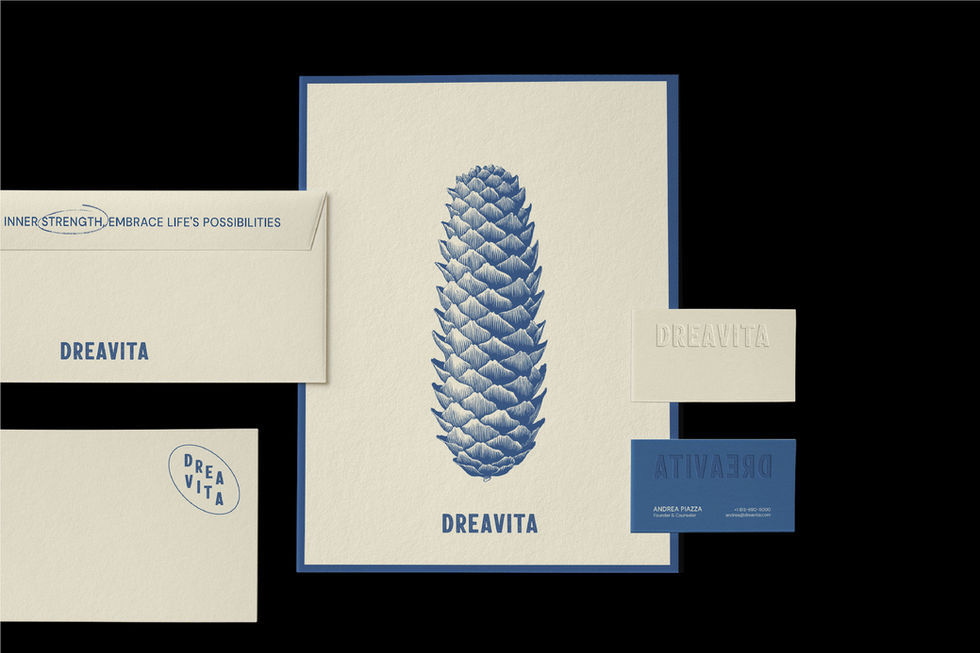 Dreavita医药/保健品品牌VIS设计欣赏